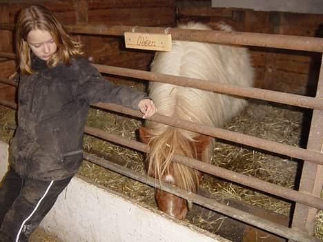 Miniature Olsen  billede 3