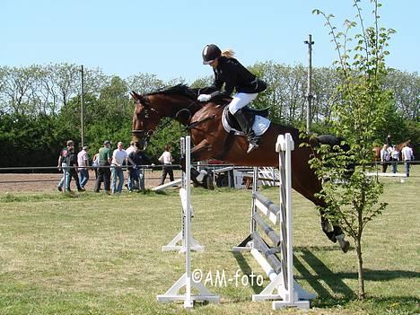 Oldenborg Smilla Stream Valley - 05.05.07- foto Anika taaak :D billede 1