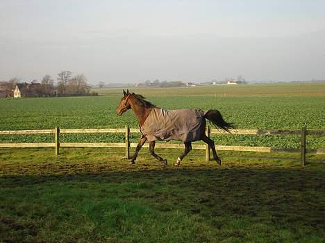 Oldenborg Smilla Stream Valley billede 3