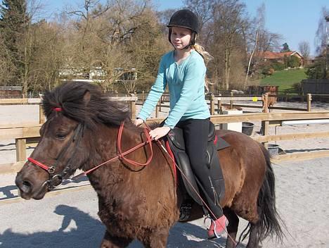 Islænder Sif fra Pilbrodalen Død - Pas billede 18