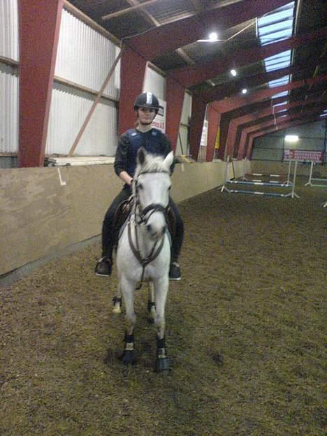 Anden særlig race Flicka(solgt ) * - så vi færdig med springtime..!:) billede 13