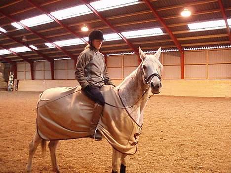 Arabisk fuldblod (OX) Mazja SOLGT *RIP* - Mazja og jeg. Er lige kommet op. billede 8