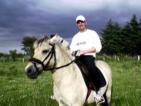 Fjordhest Majsens Lotte. billede 6