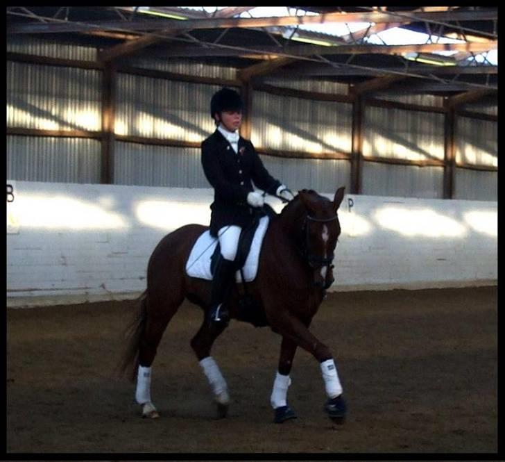 DSP Nørlunds Ascari  - FINALERNE I IKAST DSP billede 3