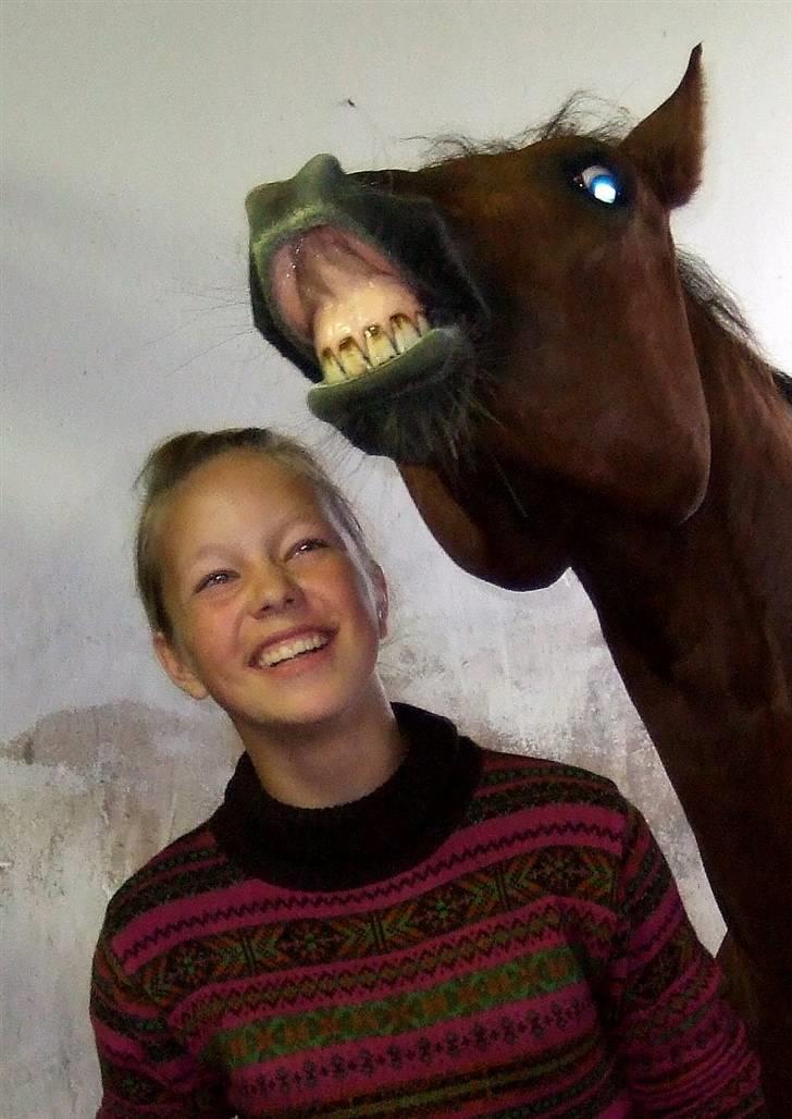 DSP Nørlunds Ascari  - Haha smil til verden så smiler den til dig ;D billede 8