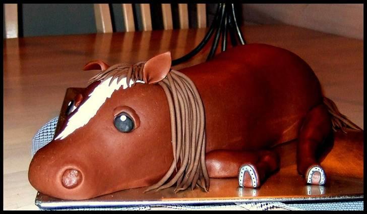 DSP Nørlunds Ascari  - Aske som kage haha :D jeg havde fødselsdag mens vi var til finalerne i Ikast, så min mor havde arrangeret en flot kage til mig - jeg turde ikke spise den, syntes det var barbarisk ;) billede 13