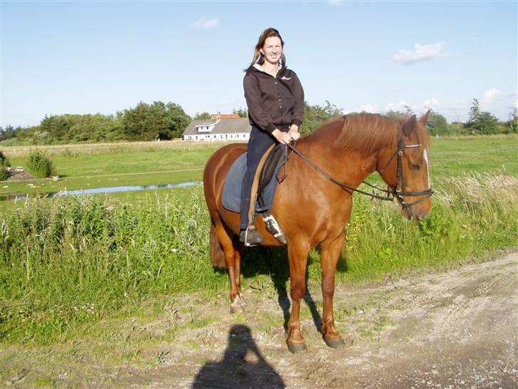 Anden særlig race Prins billede 19