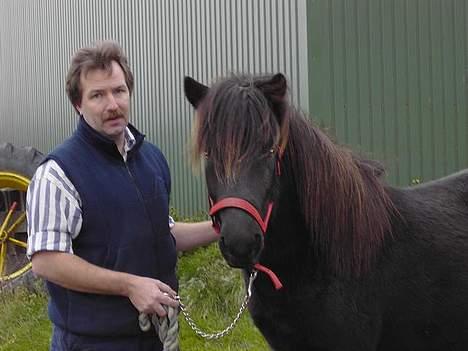 Islænder Baldur *SOLGT* billede 12