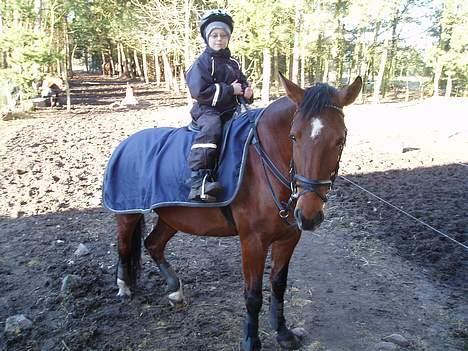 Oldenborg Sille - Mads var lige ud og ride en tur på Sille. billede 15