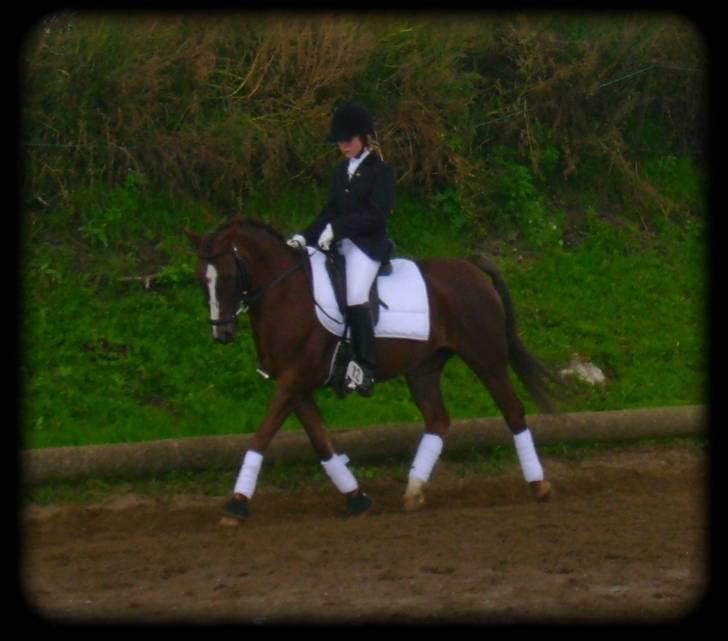 Anden særlig race Malaika R.I.P - Dygtig pige q; - heslev sep. 2007 billede 3