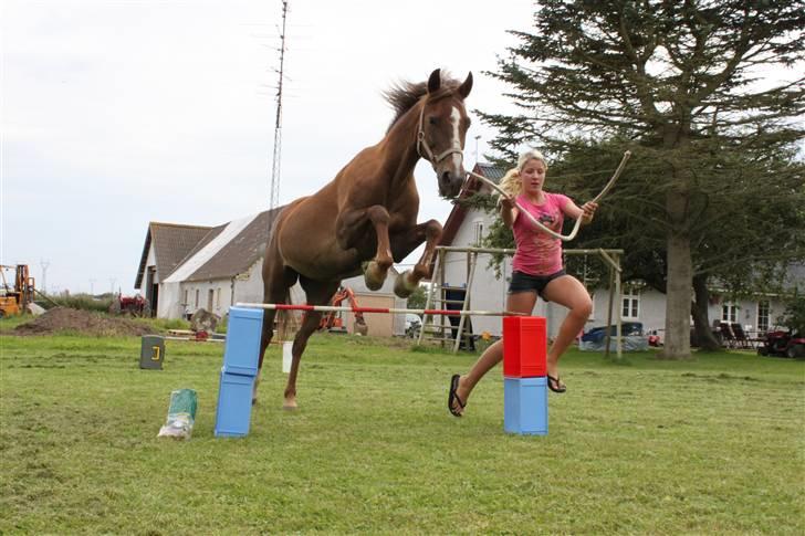 Anden særlig race Malaika R.I.P - hun er ikke længere halt ;D´ - løsspringning juli 09´ og hun nød det ! billede 5