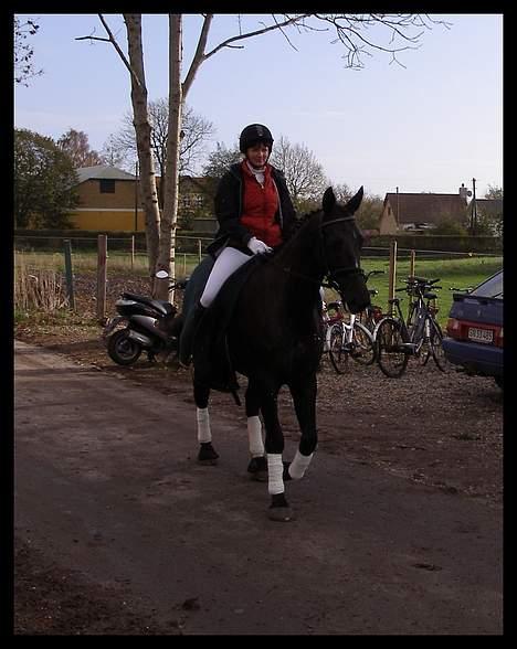 Anden særlig race Trojka (Himmelhest) - Vores første stævne, 2006.  billede 13