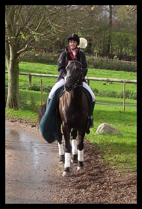 Anden særlig race Trojka (Himmelhest) - Vores første stævne, 2006.  billede 14