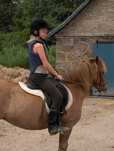 Tysk Sportspony Rødhætte <"3 - rødhætte og olivia billede 5