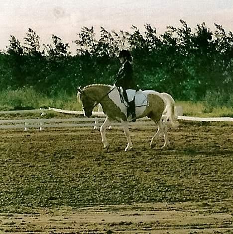 Anden særlig race Marius  - Det her er fra vores LB3 for pony og det sidste stævne for pony der hvor vi fik den der pokal billede 8