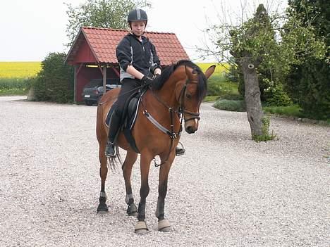 Anden særlig race Panick - Hjemme hos mig selv i efteråret. billede 2