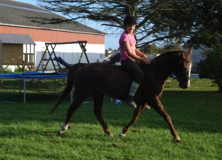 Anden særlig race Malaika R.I.P - så er vi igang igen - september 09´ (: billede 6