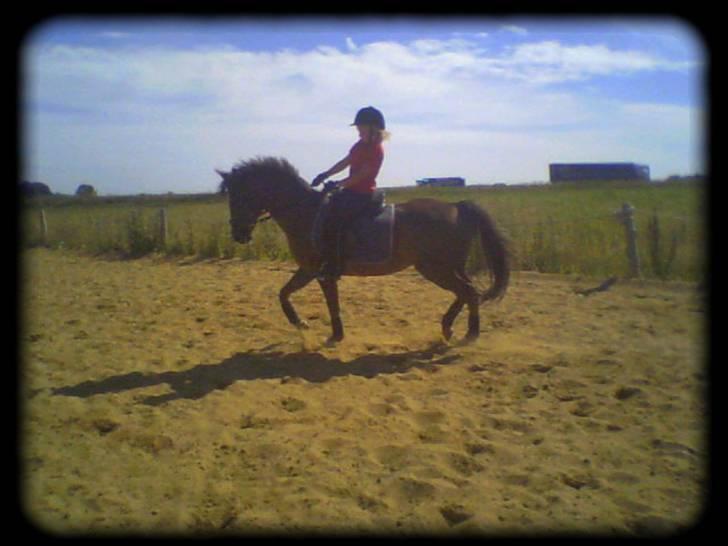 Anden særlig race Malaika R.I.P - mig og Malaika efter vi havde redet sammen i 2 måneder  billede 7