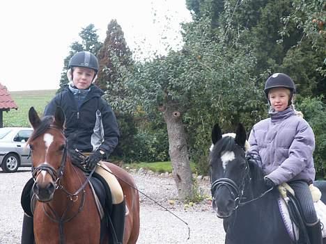 Anden særlig race Panick - Cecilie og jeg på en lille ridetur hjem til mig.  billede 12