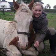 Anden særlig race Alladin