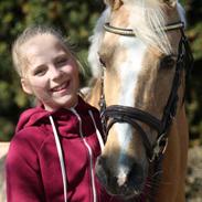 Tysk Sportspony Scarlett