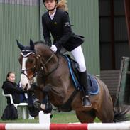 DSP Elmegaardens Don Juan