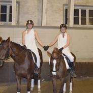 Anden særlig race Pixiline *solgt* Tidl. part ;( ;(