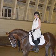 Anden særlig race Pixiline *solgt* Tidl. part ;( ;(