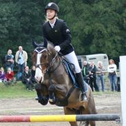 DSP Elmegaardens Don Juan