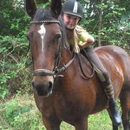 Anden særlig race Skovgårdens Fabienne