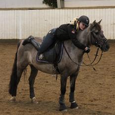 Anden særlig race S.I.R's Bertha