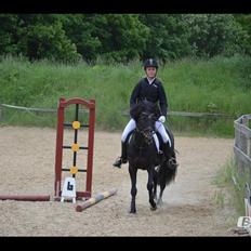 Tysk Sportspony Naranjo [Har redet]