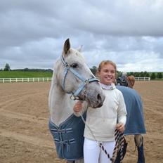 Anden særlig race Filuca