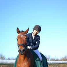 Hollandsk Sportspony Kantje's Pascal 