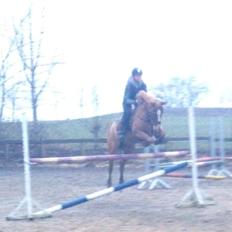 DSP Lintrupgaard Cavito