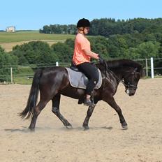 Anden særlig race spirit