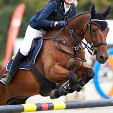 Anden særlig race Michelangelo