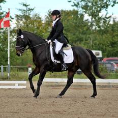 Anden særlig race Zeus (solgt)