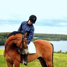 Anden særlig race Armani