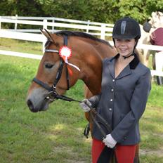 Anden særlig race Armani