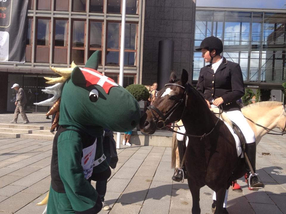 New Forest Krondalens Corfu - EM - Herning Gågade, 2014 billede 10