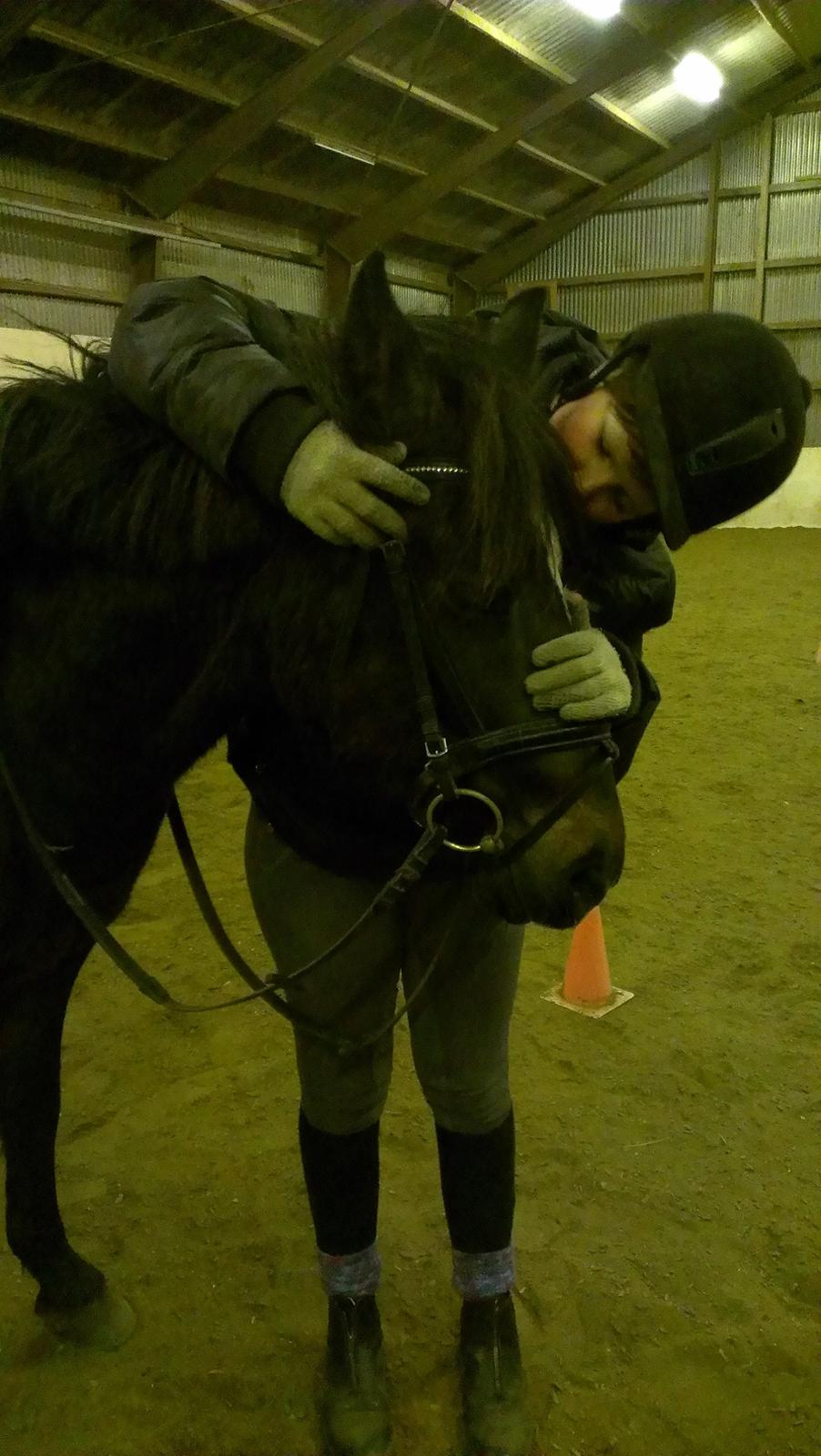 New Forest Krondalens Corfu - Vinteren 2012 billede 11