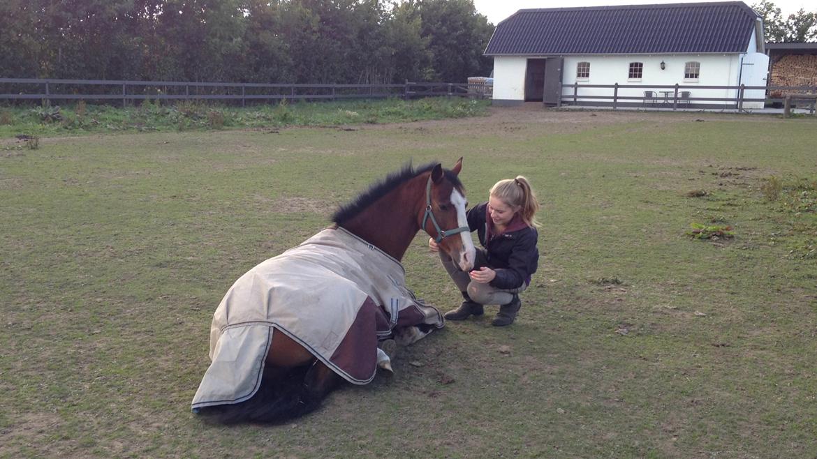 DSP Lassen`s Pay Per View billede 6