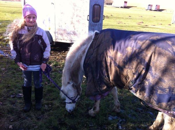 Welsh Mountain (sec A) Tanggårds Figo  - beskidte pony!!!!!!! billede 14