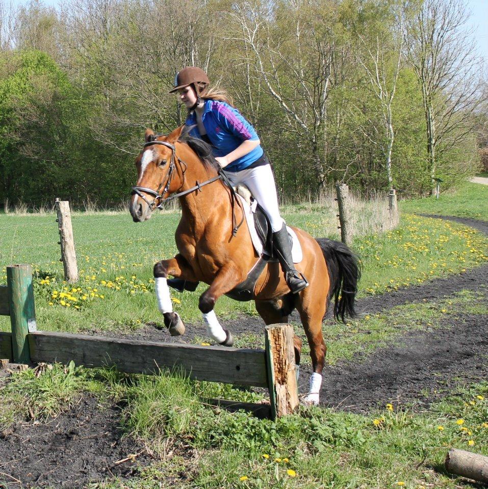 Anden særlig race Mistery Dancer (Misse)SOLGT billede 34