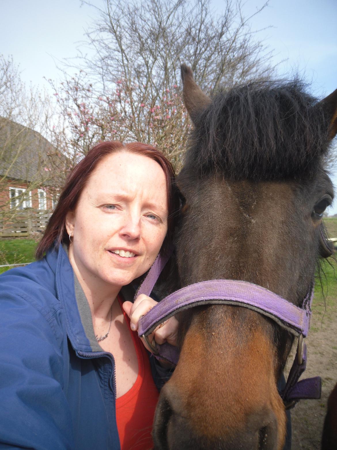 New Forest Ambrosius ak. Oliver :-) billede 5