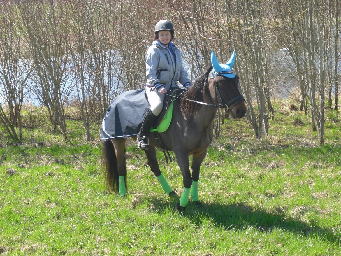 New Forest Ambrosius ak. Oliver :-) - dejlig tur med mor!! billede 8