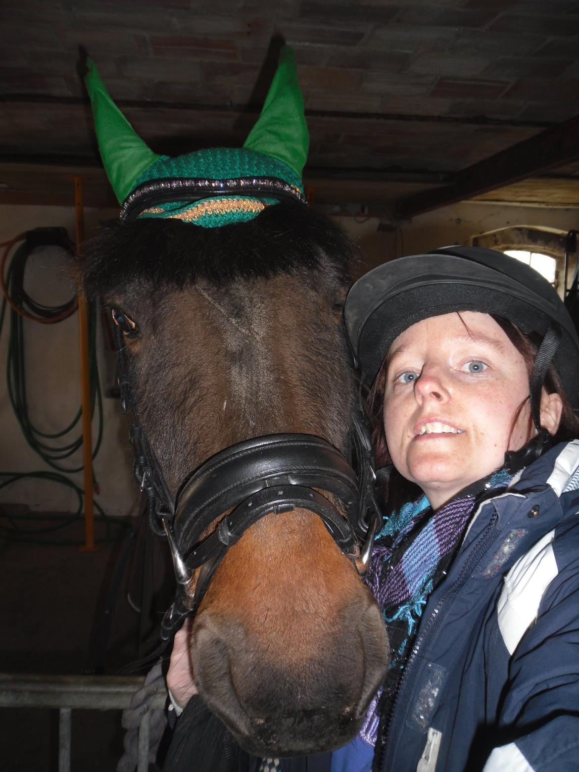 New Forest Ambrosius ak. Oliver :-) billede 10