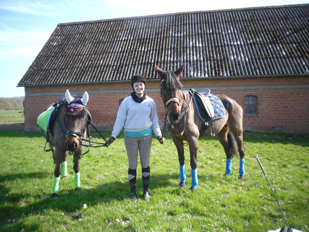 New Forest Ambrosius ak. Oliver :-) - Ollie, Maria og ollie's bedste ven Tian billede 11