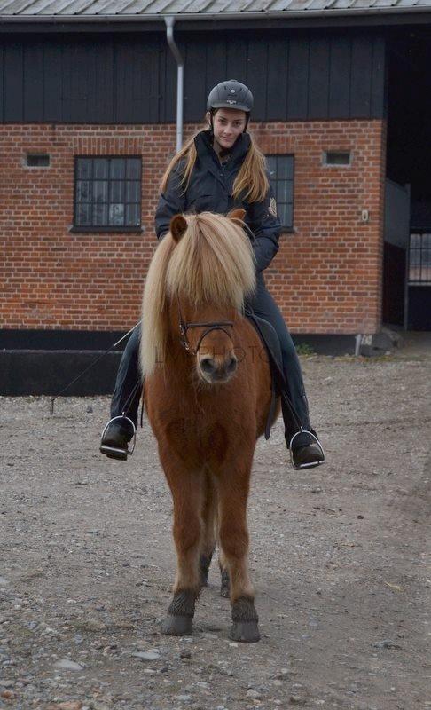 Islænder Torfi fra Ulstrup - Friends we're, friends we'll be, friends forever, you and me <3 billede 16